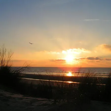 Algues 2 Appartement