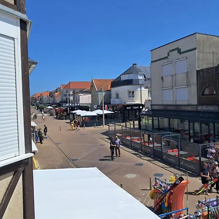 Algues 2 Quend-Plage